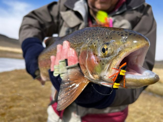 The Adventure Awaits at the End of the World